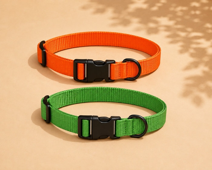 Rechargeable LED Safety Collar